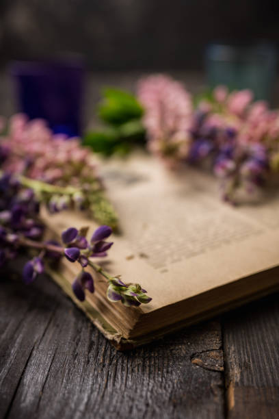 istock Colorful lupine flowers on the rustic background in atmospheric environment. Selective focus. Shallow depth of field. 1330174045