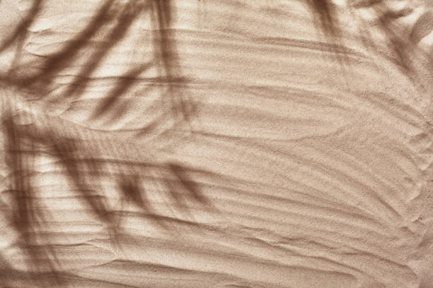 istock Summer concept with a shadow of a tropical palm tree leaves, copyspace on a white beach sand 1330176934