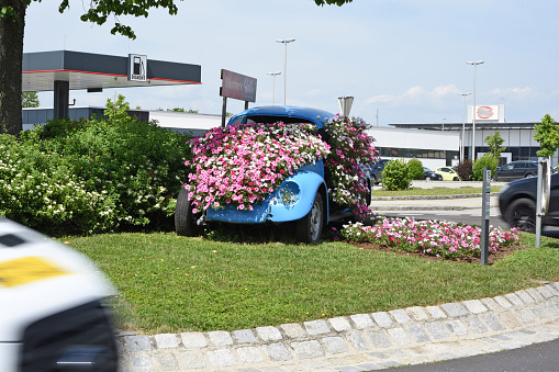 Flowers in a VW Beetle in a roundabout in Schärding am Inn in Upper Austria, Austria, Europe