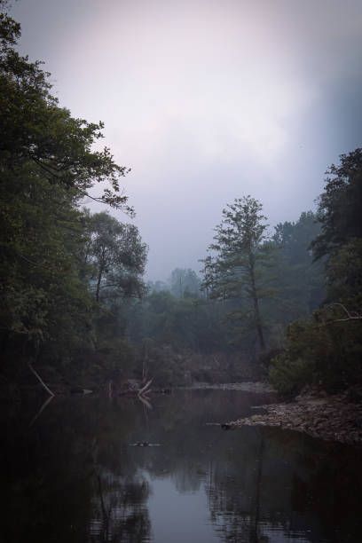 istock Mountain river forest nature early morning beauty 1330190917
