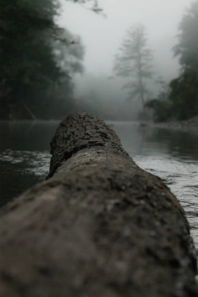 istock Mountain river forest nature early morning beauty 1330190924