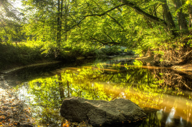 istock Roja river and stones, Latvia 1330194944
