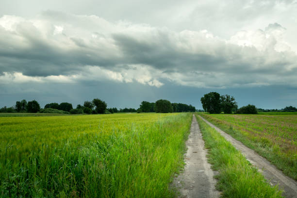 istock Rural road through green fields and cloudy sky 1330196303