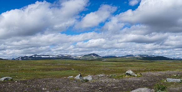 A panorama view of the wild tundra landscape ofthe Stekenkokk Plateau in Swedish Lappland