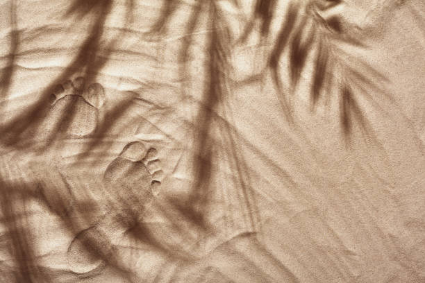 istock Summer concept with a shadow of a tropical palm tree leaves, copyspace 1330198414