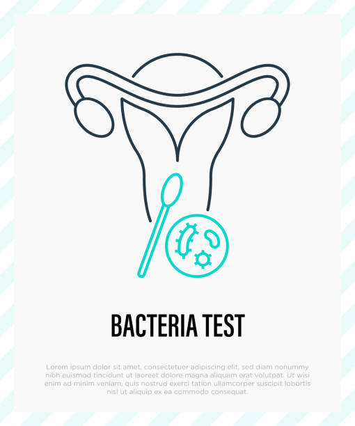 Bacteria test for uterine thin line icon. Gynecology. Diagnostics of infection. Vector illustration. Bacteria test for uterine thin line icon. Gynecology. Diagnostics of infection. Vector illustration. genital herpes stock illustrations