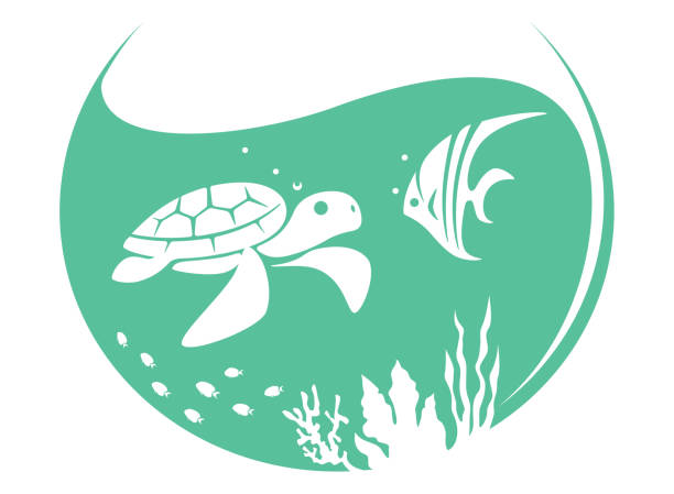 symbol motyla ze spotkaniem żółwia morskiego - fish tank stock illustrations