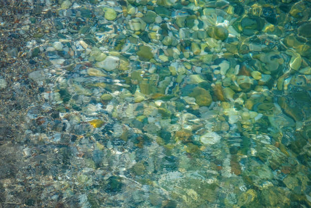 istock Shining pebbles under clear turquoise water 1330211079