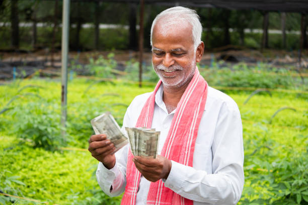 Happy Smiling Indian farmer counting Currency notes inside the greenhouse or polyhouse - concept of profit or made made money from greenhouse farming cultivation
