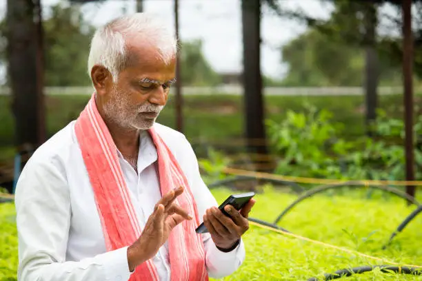 Indian Farmer busy using mobile phone while sitting in between the crop seedlings inside greenhouse or poly house - concept of farmer using technology and internet.