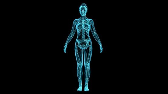 Modelos 3D visualizados del cuerpo humano femenino, así como el esqueleto humano en rayos X utilizando modernos equipos digitales de rayos X. Vista frontal. photo