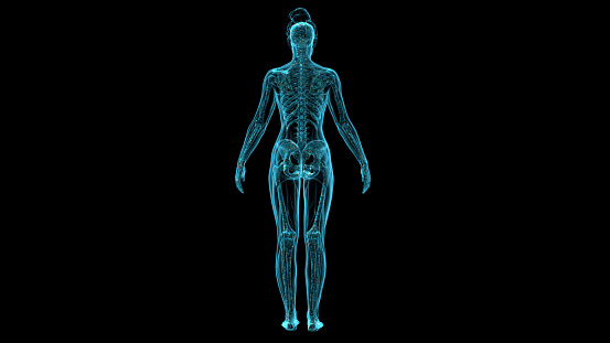 The digital X-ray imaging system of the human body, is more stable in digital output, more convenient in capturing images and more accurate than digital transmission.