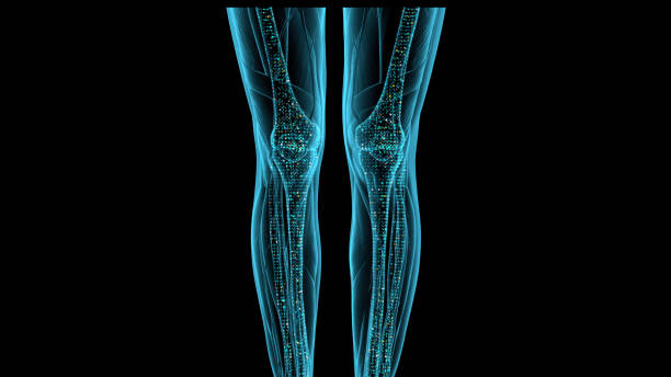 X-ray machine / medical digital X-ray machine is a medical device suitable for use in a clinic, hospital, maternity hospital, clinical center and other medical places.
