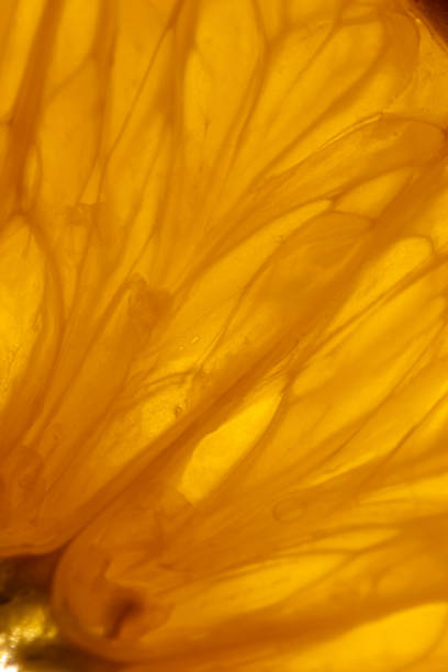 istock Close-up of orange slice 1330215810