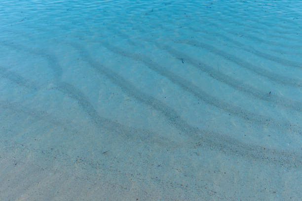 istock Seashore in the morning, calm ocean 1330216745