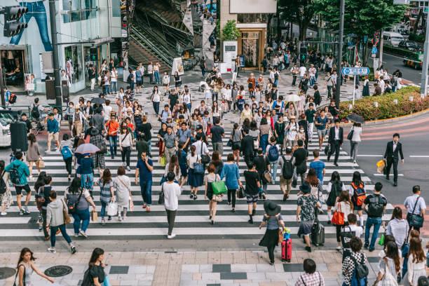 istock Zebra crossing In Harajuku, Tokyo 1330218322