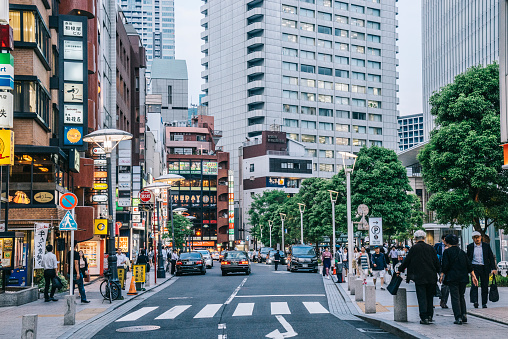 Lively street of Tokyo at night.