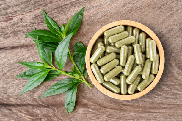 istock Andrographis paniculata leaf and powder herbal capsules. Thai herb concept. 1330218521