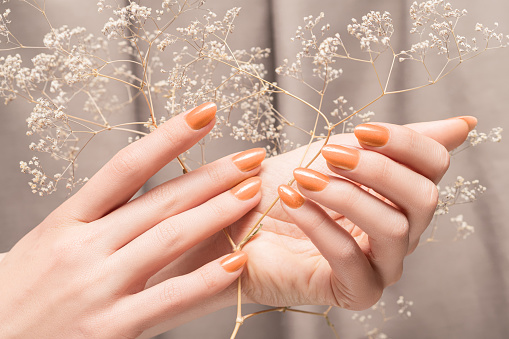 Female hands with glitter beige nail design. Female hands hold dry autumn flower. Woman hands on beige fabric background