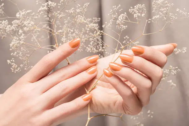 Photo of Female hands with glitter beige nail design. Female hands hold autumn flower. Woman hands on beige fabric background