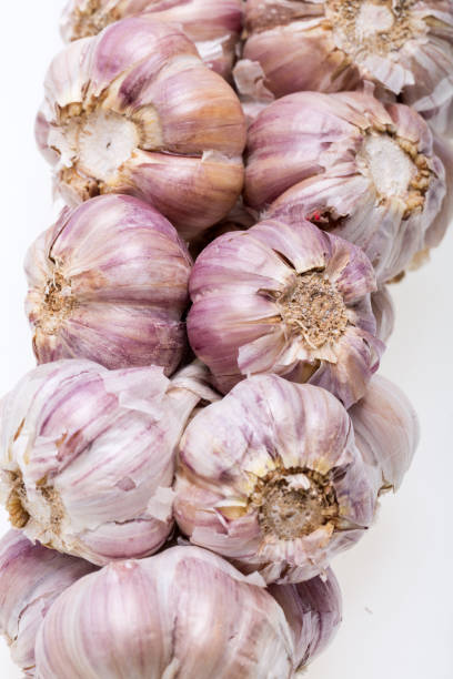 cadeia de alho isolado no fundo branco - garlic hanging string vegetable - fotografias e filmes do acervo