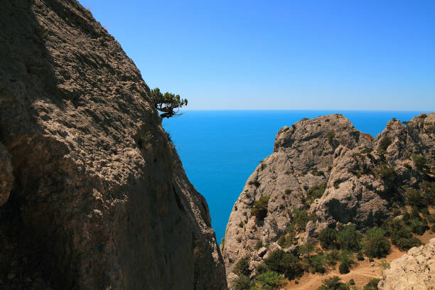 istock Cape Kapchik. Novy Svet, Crimea 1330226382