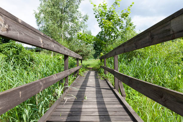 istock old wooden bridge built on the lake 1330227882
