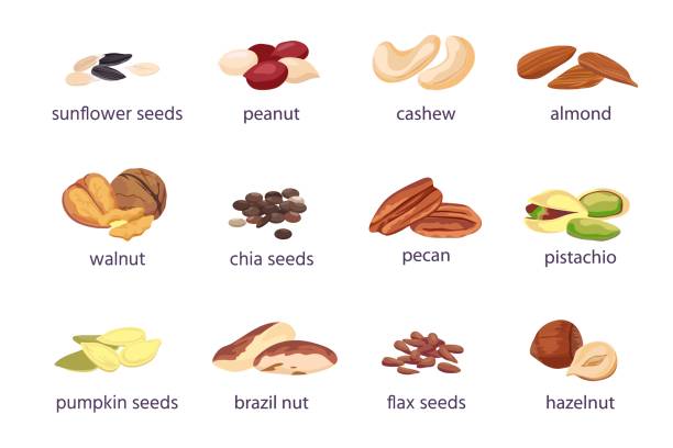 nuts and seeds. hazelnut, almond, walnut and peanut. sunflower, pumpkin and chia seed pile. pistachio, cashew and brazil nut icon vector set - nuts stock illustrations