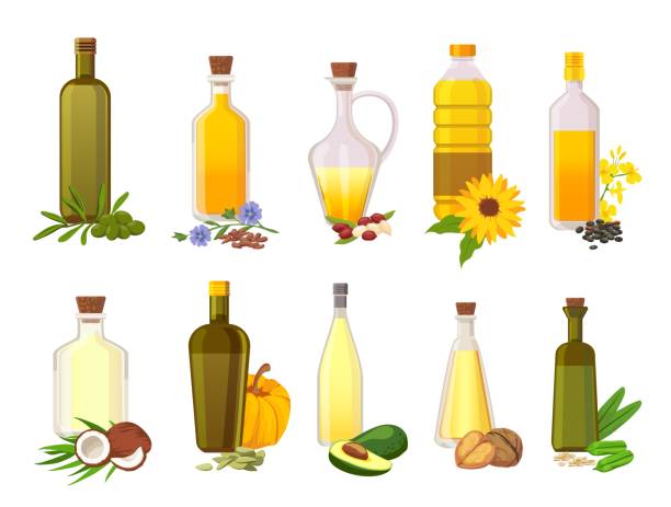 ilustrações, clipart, desenhos animados e ícones de garrafas de óleo de cozinha. vegetais naturais, azeitona, girassol, abacate e óleos orgânicos virgens de coco em vidro com plantas de ingrediente conjunto vetor - cooking oil extra virgin olive oil olive oil bottle