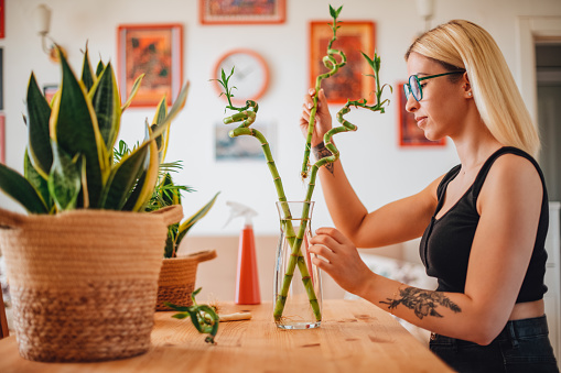 Young Blonde Woman Cares For Houseplants