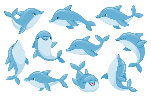 イルカのキャラクター。面白いイルカはジャンプし、ポーズを泳ぎます。海洋水族館は水中動物のマスコットを示しています。漫画のバンドウ児イルカベクターセット - happy dolphin点のイラスト素材／クリップアート素材／マンガ素材／アイコン素材