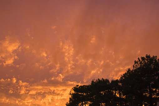 photograph during a sunset with a very cloudy sky.\nThe clouds are orange.\ntrees are against the light at the bottom right of the photograph