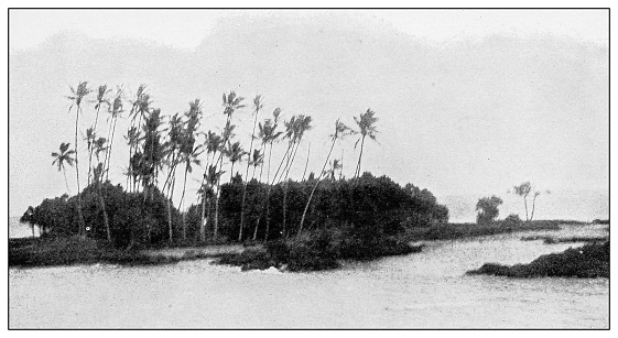 Antique black and white photograph of people from islands in the Caribbean and in the Pacific Ocean; Cuba, Hawaii, Philippines and others: Coconut island, near Hilo, Hawaii