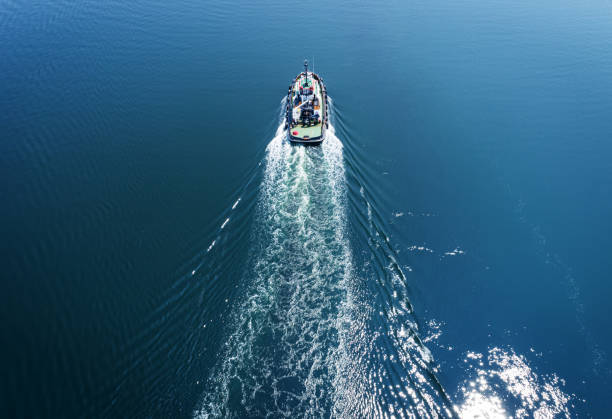 istock Aerial View of Tugboat 1330232739