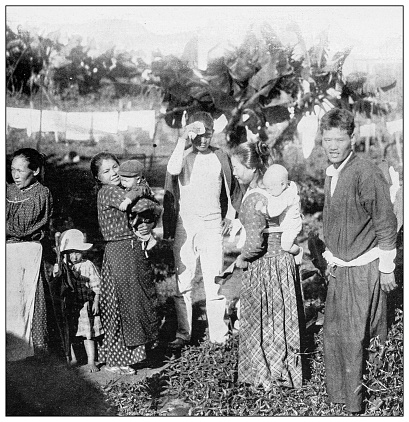 Antique black and white photograph of people from islands in the Caribbean and in the Pacific Ocean; Cuba, Hawaii, Philippines and others: Japanese family, Honokaa, Hawaii
