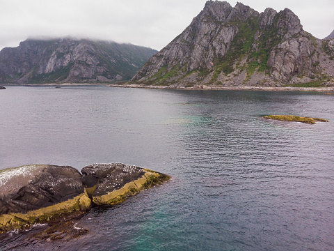 Scenery landscape with stone island full of birds, fjord Vjestfjord, Lofoten islands, Henningsvaer region, Norway. Overcast weather. Wild northern nature. Aerial view.