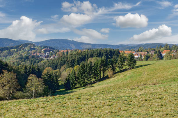 istock Sankt Andreasberg,Harz Mountains,Germany 1330235766