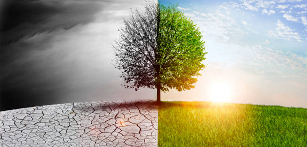 Climate change Nature in change visible on a tree climate change stock pictures, royalty-free photos & images