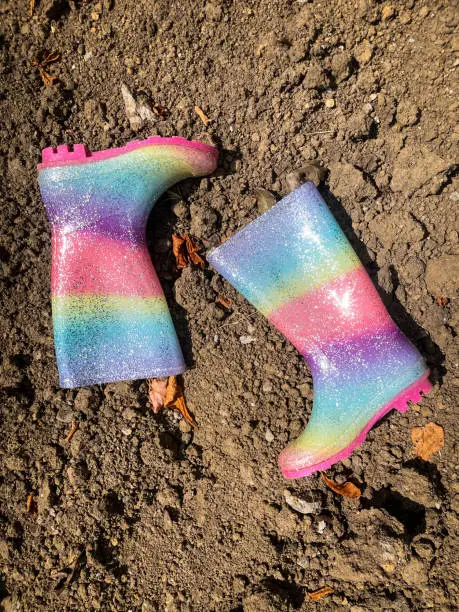 Two rainbow-coloured glittering rubber boots lying on the brown dry ground with several dry leaves on a sunny day.