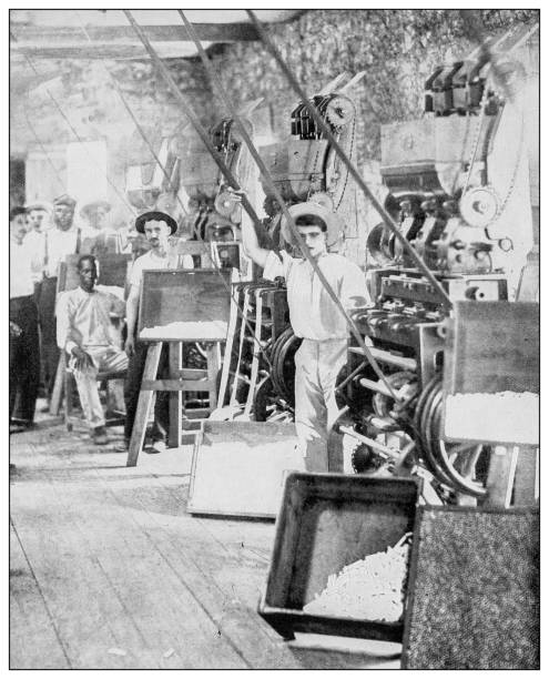 Antique black and white photograph: Cigarette factory in Ponce, Puerto Rico Antique black and white photograph of people from islands in the Caribbean and in the Pacific Ocean; Cuba, Hawaii, Philippines and others: Cigarette factory in Ponce, Puerto Rico puerto rico photos stock illustrations