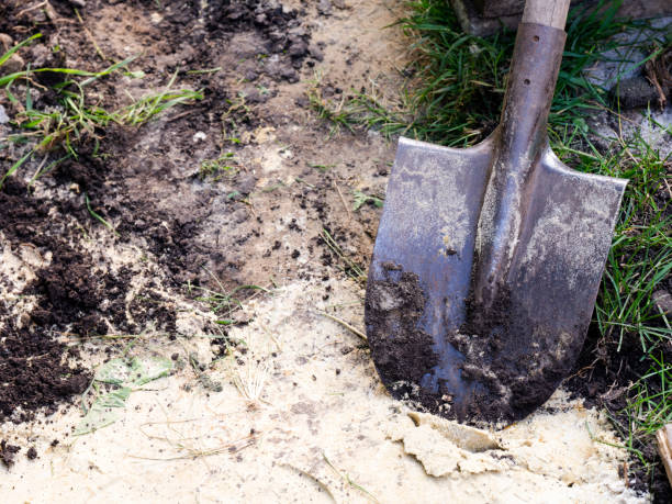 istock A shovel standing on sand near a garden path that is under construction. 1330248706