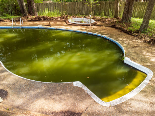 istock Filthy swimming pool with green water 1330249709