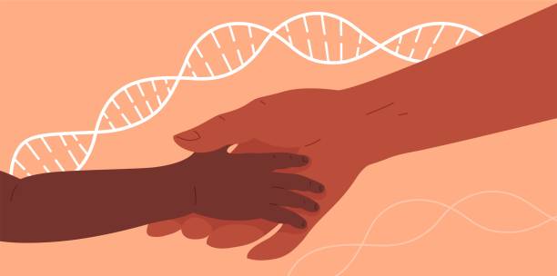 ilustrações de stock, clip art, desenhos animados e ícones de two hands join, father or mother with child. concept vector illustration for genetics, dna testing, paternity or maternity testing, hereditary diseases, biology. background with dna chain. - proof of love