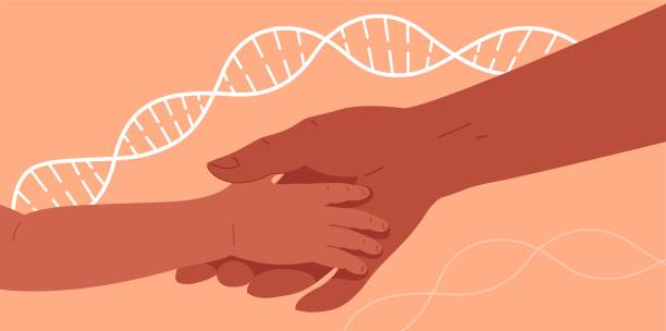 ilustrações de stock, clip art, desenhos animados e ícones de two hands join, father or mother with child. concept vector illustration for genetics, dna testing, paternity or maternity testing, hereditary diseases, biology. background with dna chain. - proof of love