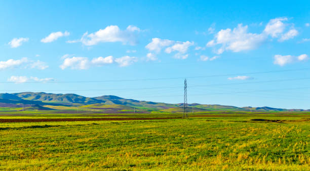 istock rural landscape in the countryside 1330260356