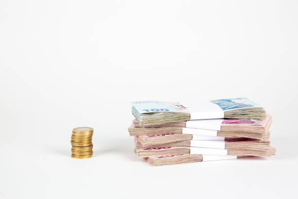 istock Turkish Lira Banknotes, Turkish paper currency 1330261211