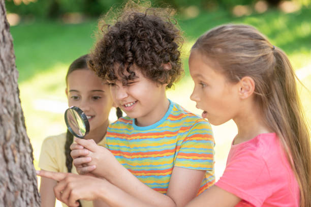 istock Boy and two girls exploring tree trunk 1330261407