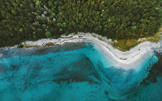 Aerial view ocean sandy beach and coniferous forest drone landscape in Norway above trees and blue sea water scandinavian nature wilderness top down scenery
