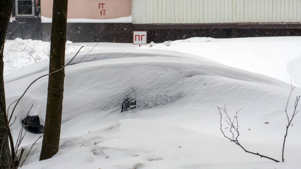 istock bright sunny day after heavy snowfall 1330268959