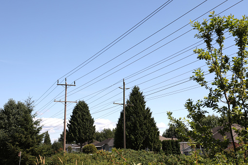 Rows of utility poles and overhead wires line an easement in southwestern British Columbia.